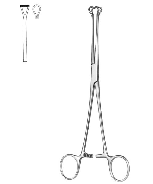 Intestinal and Tissue Grasping Forceps