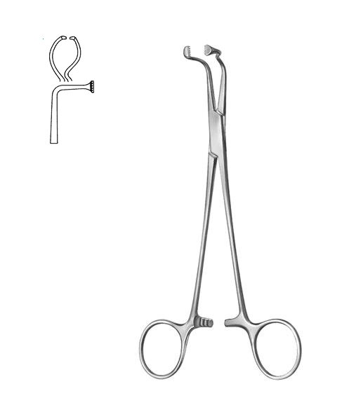 Bone Holding Forceps